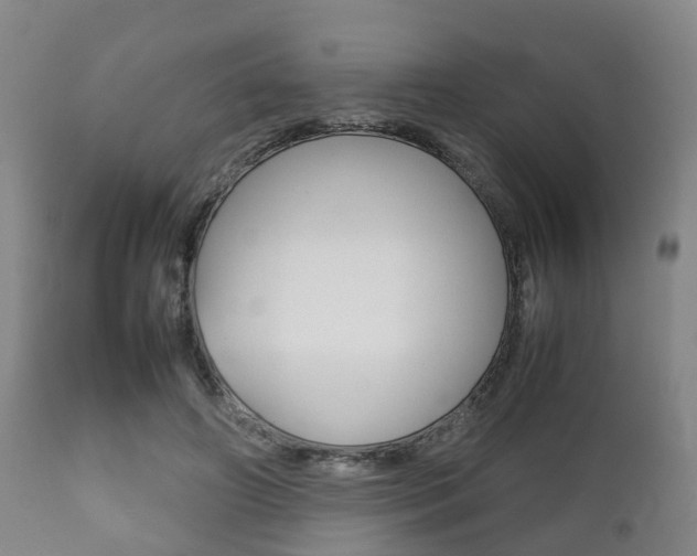 X0000111900498200907271014