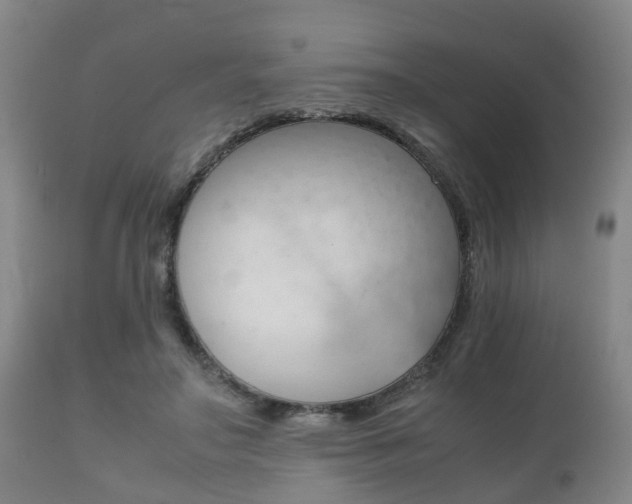 X0000111900499200907271014