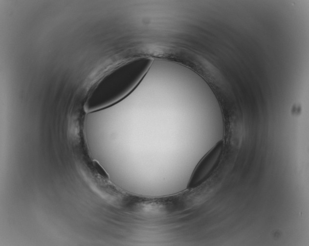 X0000111900500200907271014
