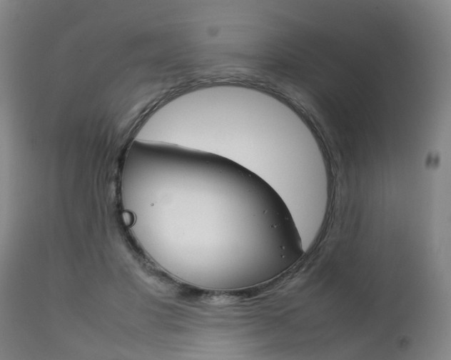 X0000111900501200907271013