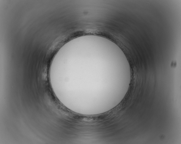 X0000111900502200907271013