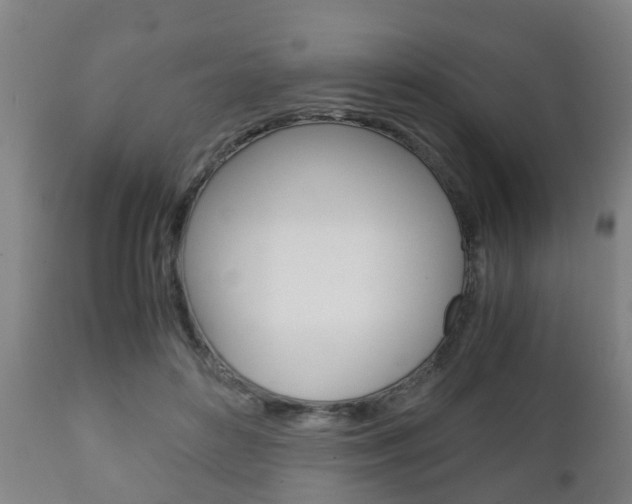 X0000111900504200907271013