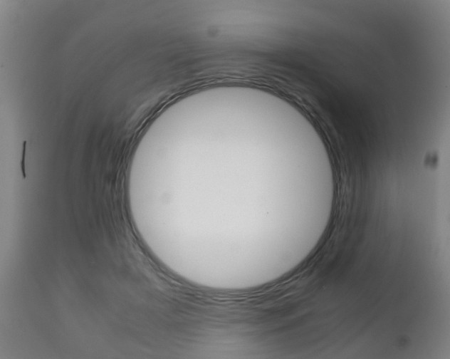 X0000111900505200907271013