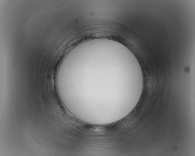 X0000111900506200907271013