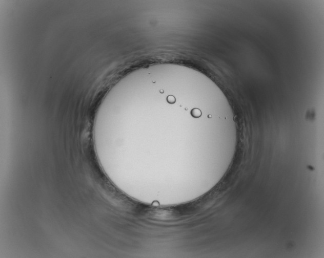 X0000111900507200907271013