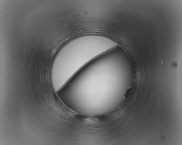 X0000111900508200907271013