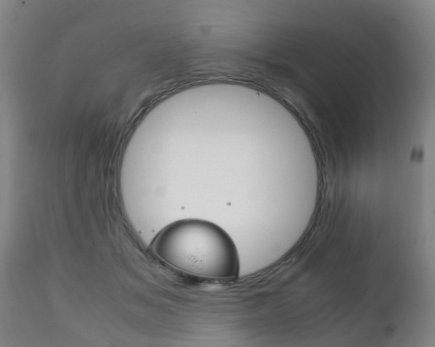 X0000111900509200907271013