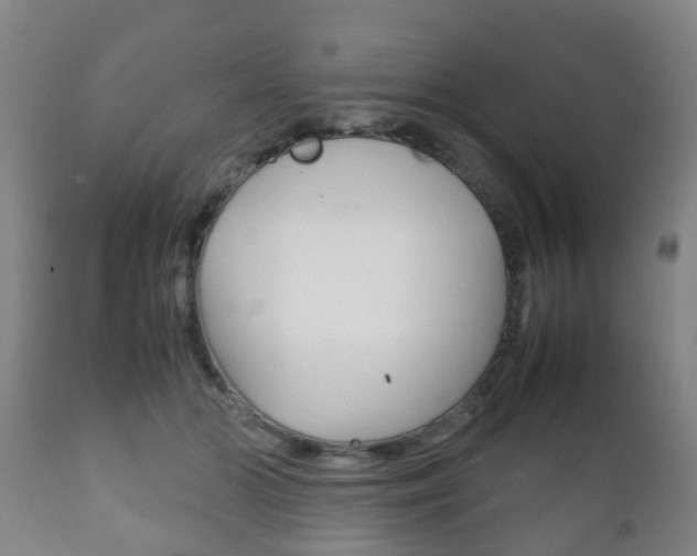 X0000111900510200907271013