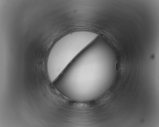 X0000111900512200907271013