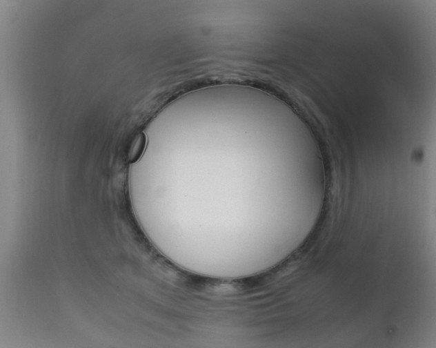 X0000111900513200907271013