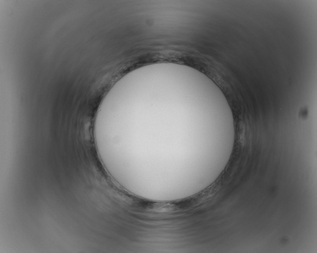 X0000111900514200907271013