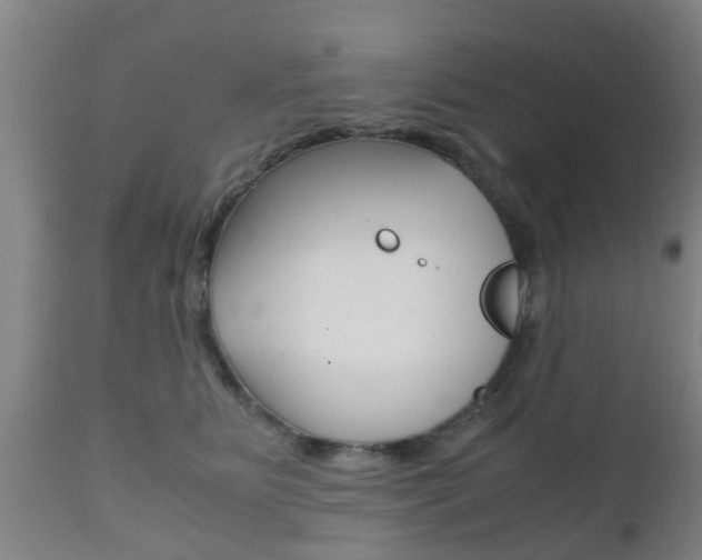 X0000111900515200907271013