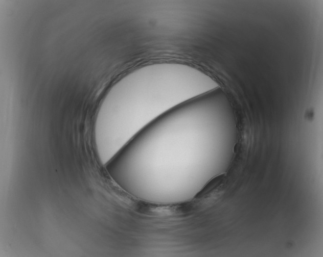 X0000111900516200907271013