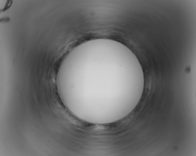 X0000111900518200907271013