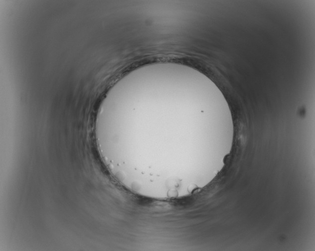 X0000111900519200907271013