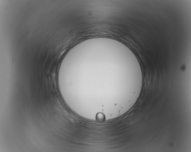 X0000111900520200907271013