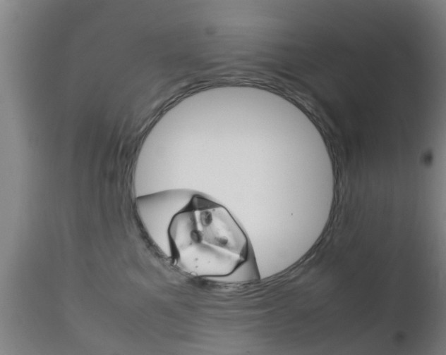 X0000111900521200907271013