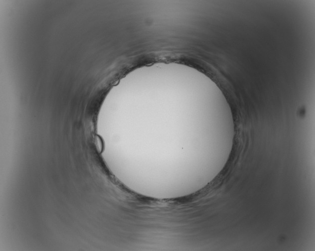X0000111900523200907271013