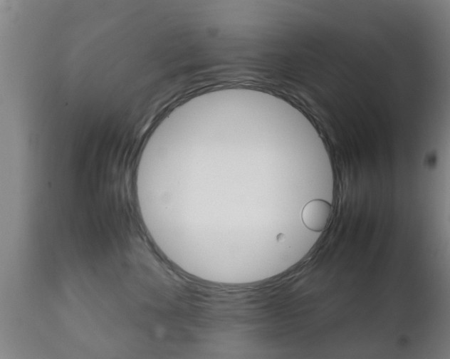 X0000111900524200907271013