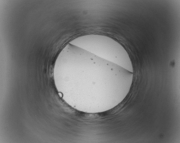 X0000111900525200907271013