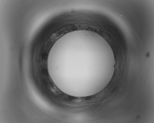 X0000111900527200907271013