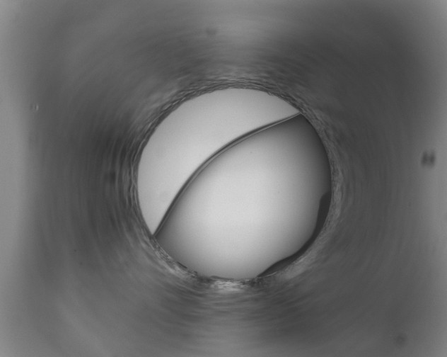X0000111900528200907271013