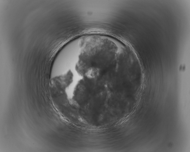 X0000111900529200907271012