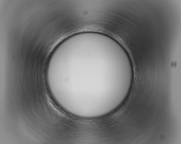 X0000111900530200907271012