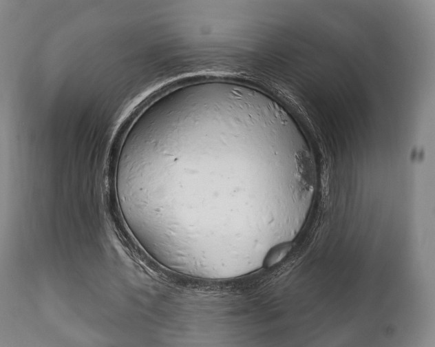 X0000111900532200907271012