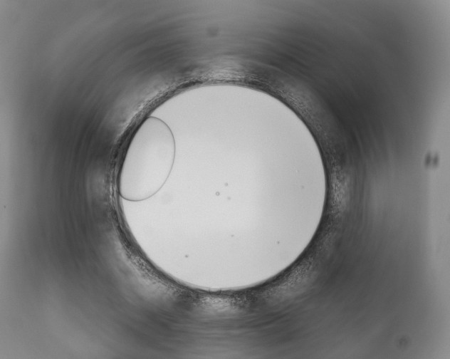 X0000111900534200907271012