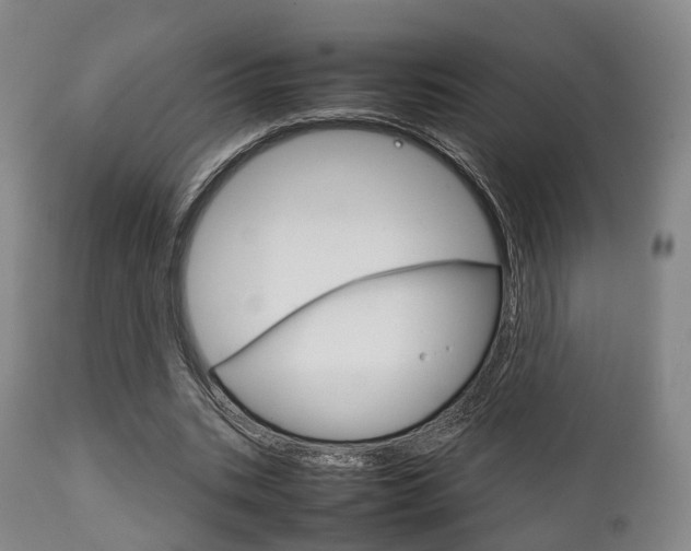 X0000111900535200907271012