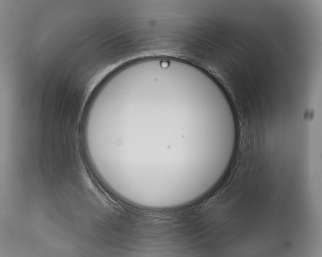 X0000111900536200907271012