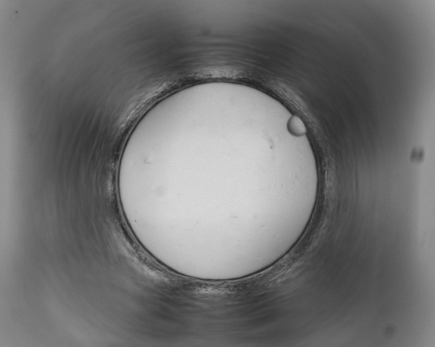 X0000111900537200907271012