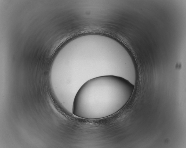 X0000111900538200907271012