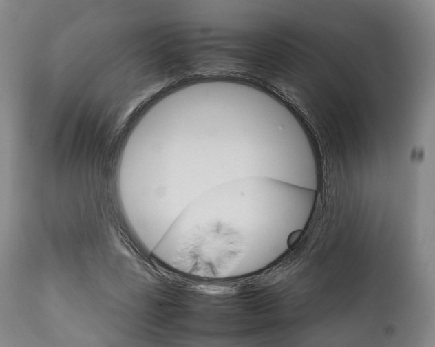 X0000111900539200907271012
