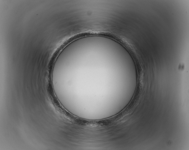 X0000111900540200907271012