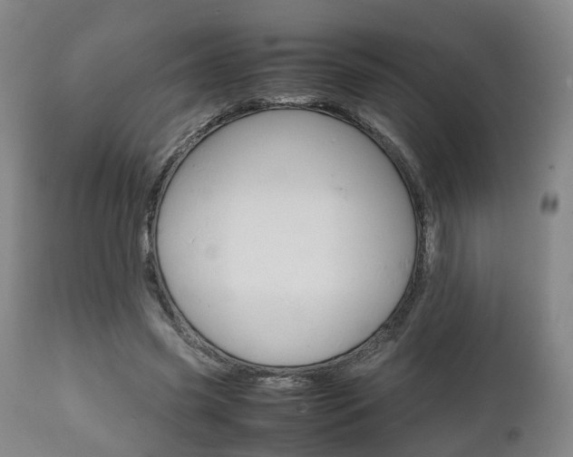 X0000111900541200907271012