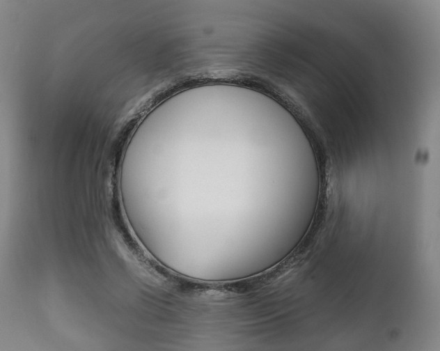 X0000111900542200907271012