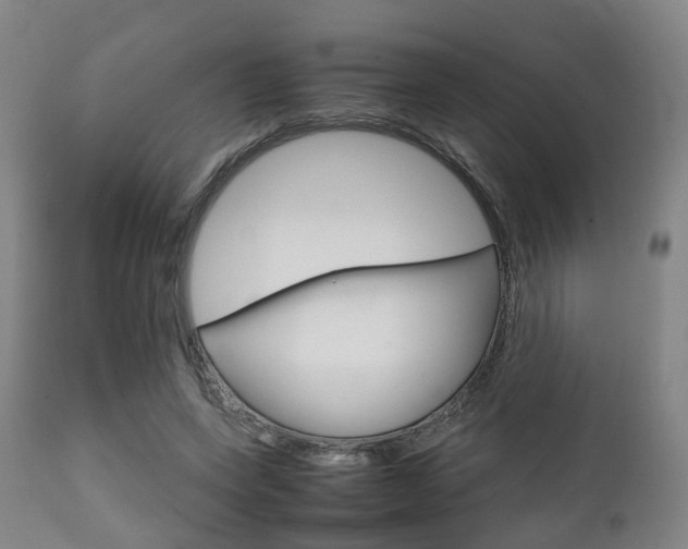 X0000111900543200907271012