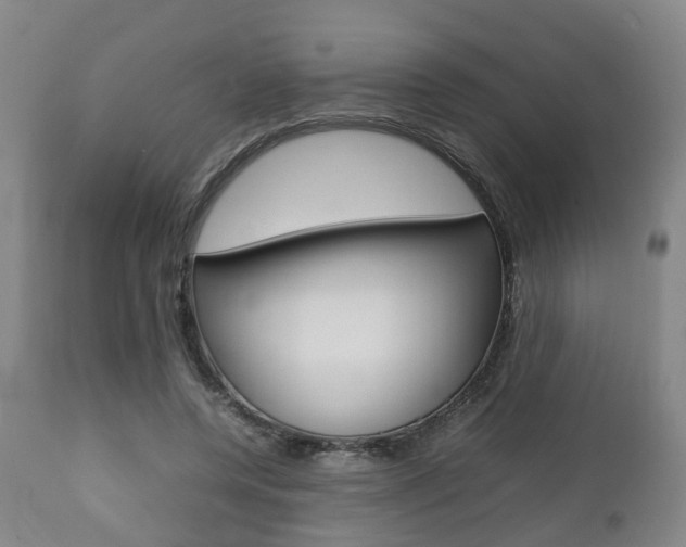 X0000111900544200907271013