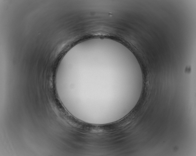 X0000111900547200907271013