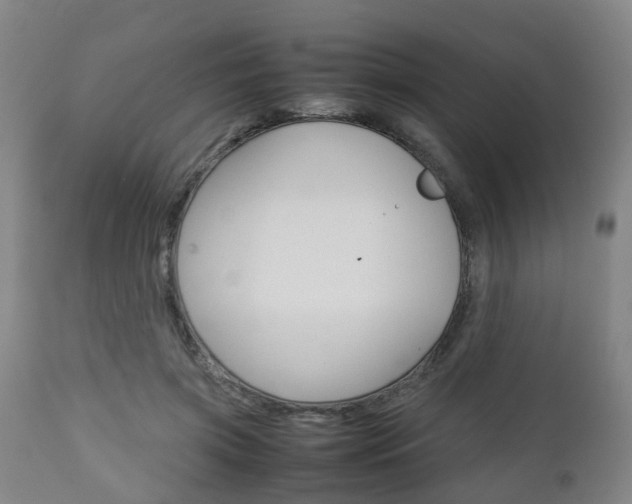 X0000111900549200907271013