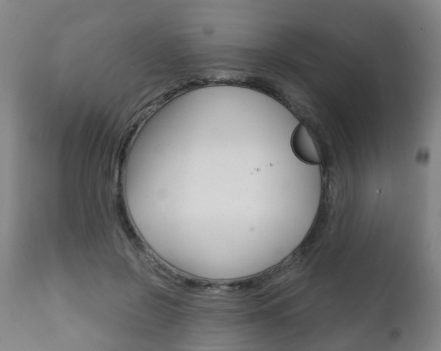 X0000111900550200907271013