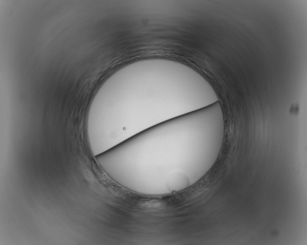 X0000111900551200907271013