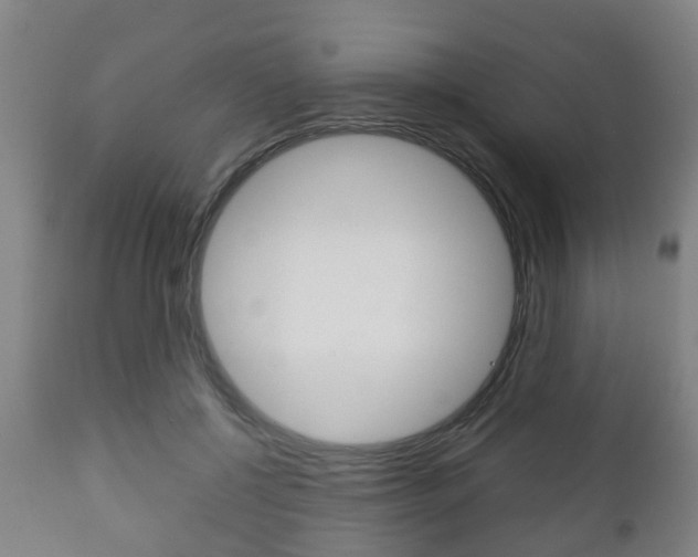 X0000111900552200907271013