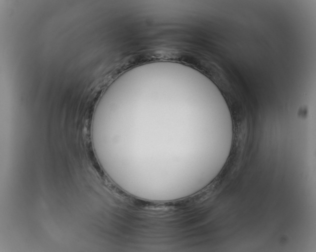 X0000111900553200907271013