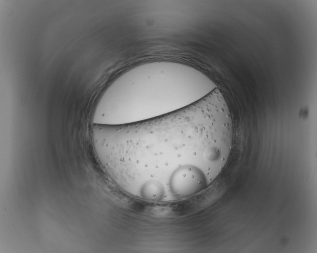 X0000111900554200907271013