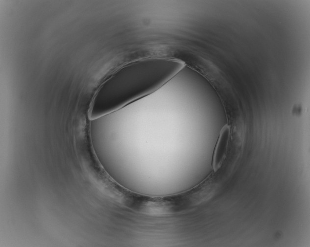 X0000111900556200907271013