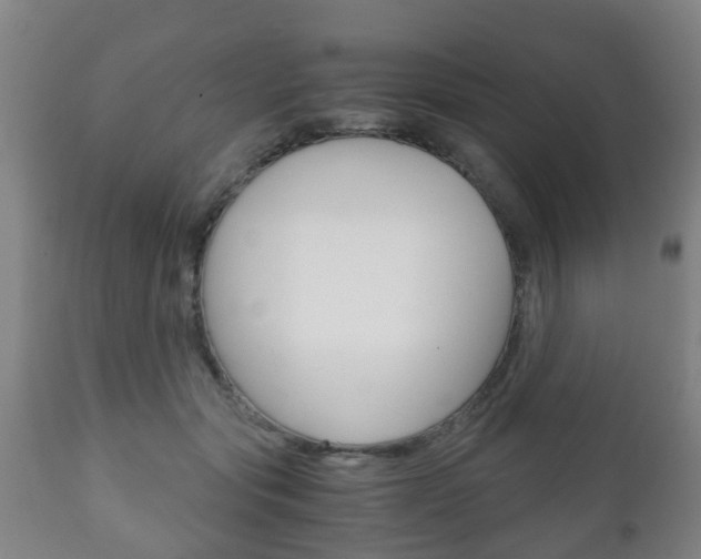 X0000111900557200907271013
