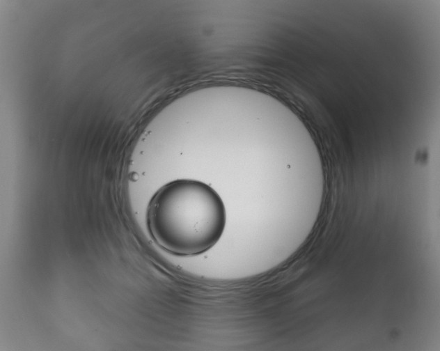 X0000111900558200907271013
